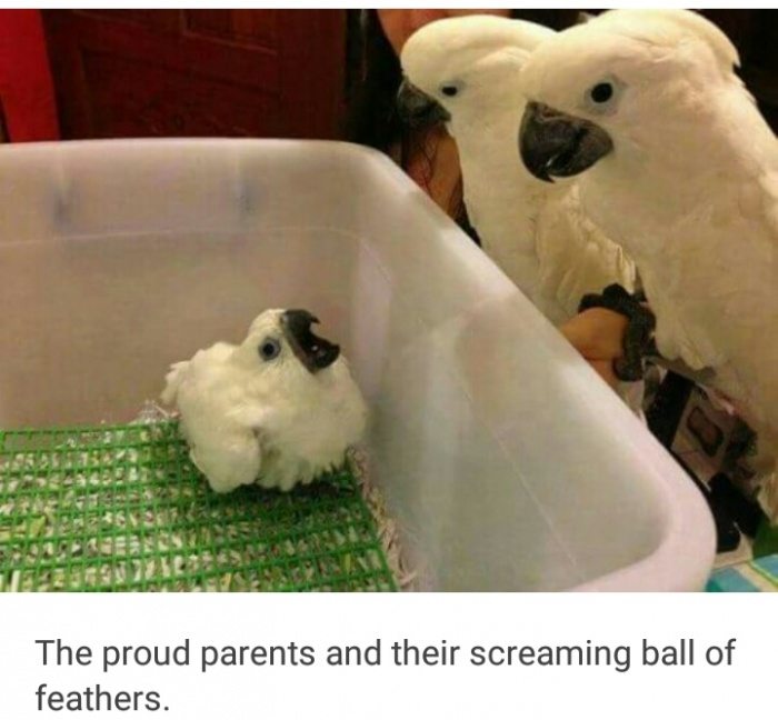 16-random-pics-make-you-laugh-all-day
