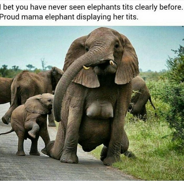 17-random-pics-make-you-laugh-all-day
