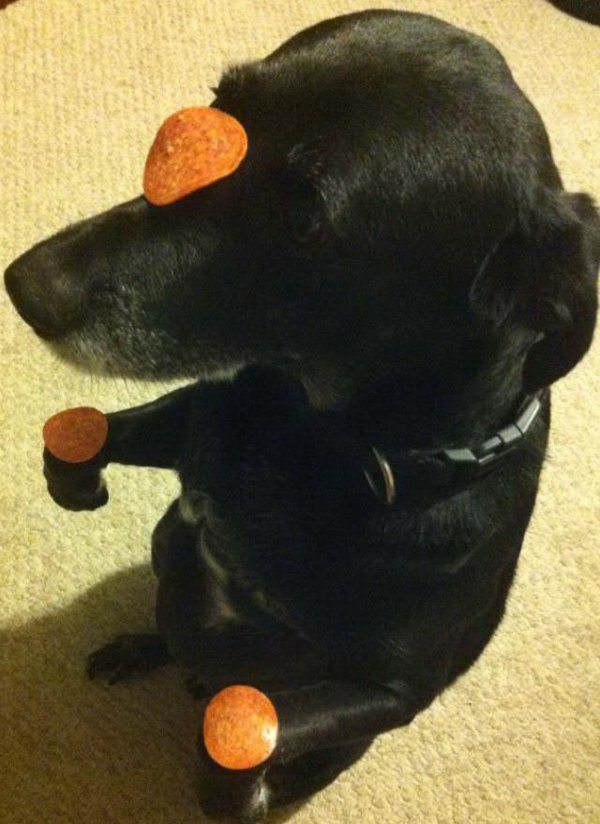 18-totally-random-pics-lol-laugh