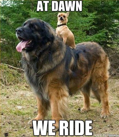 19-random-pics-make-you-laugh-all-day