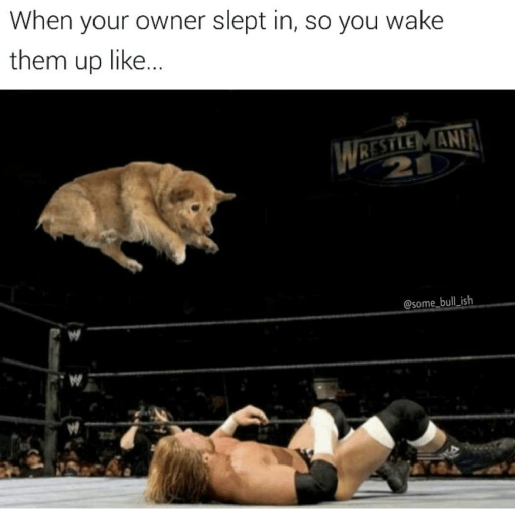 20-random-pics-make-you-laugh-all-day