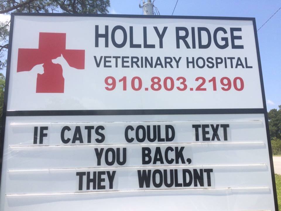 22-random-pics-make-you-laugh-all-day