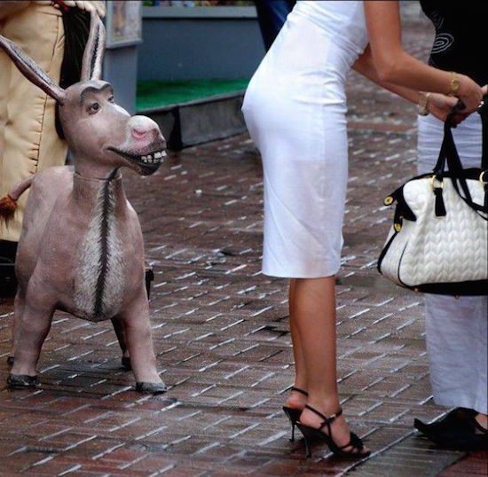 3-pics-crazy-world-we-live-in