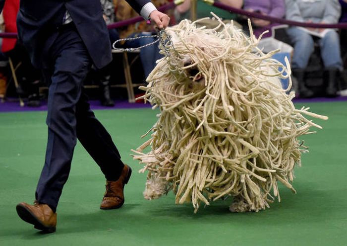 6-pics-crazy-world-we-live-in