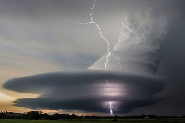 7-pics-crazy-world-we-live-in