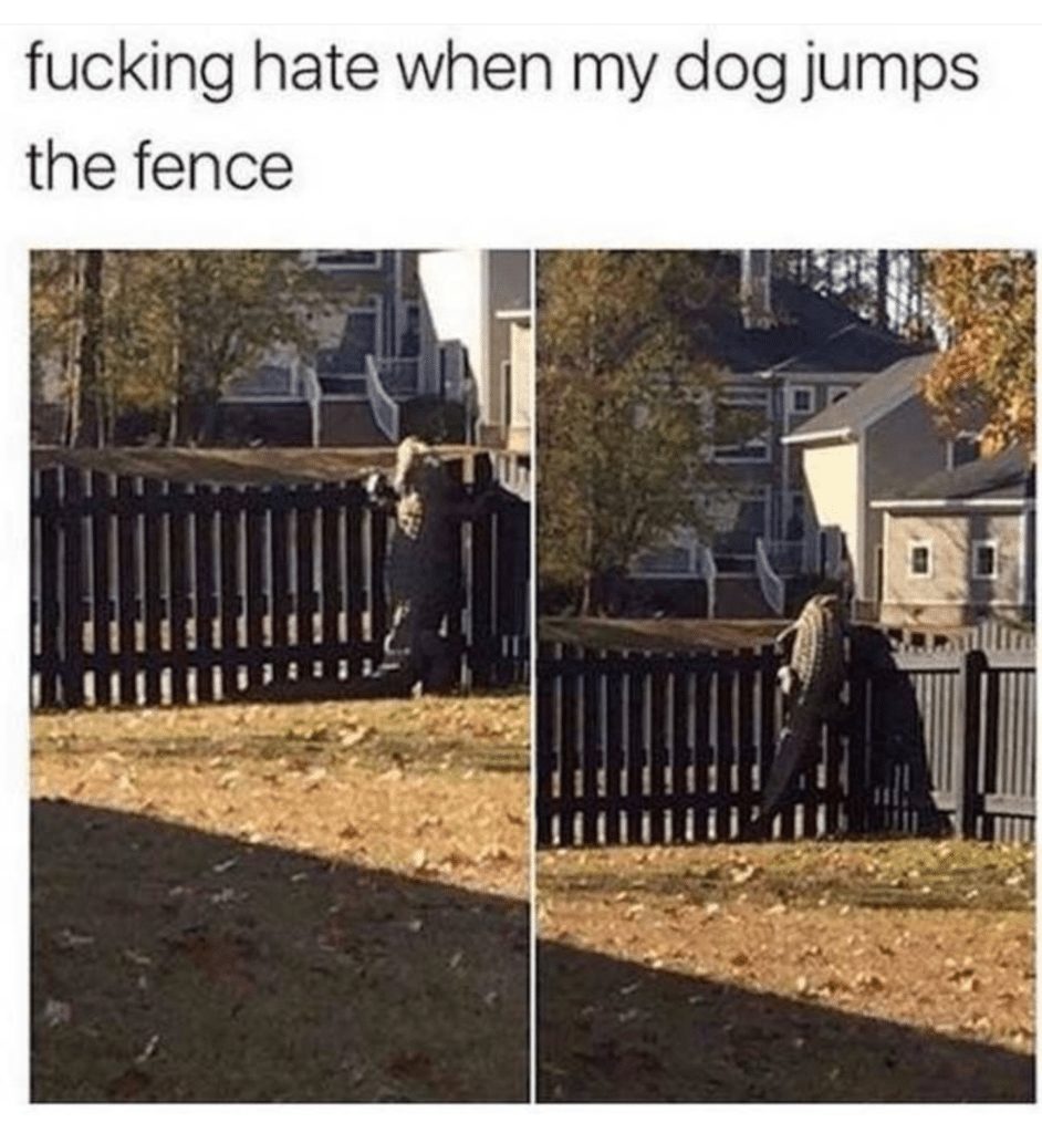 7-random-pics-make-you-laugh-all-day