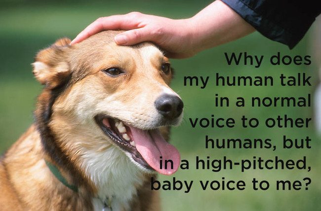 8-random-pics-make-you-laugh-all-day