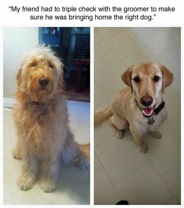 8-totally-random-pics-lol-laugh