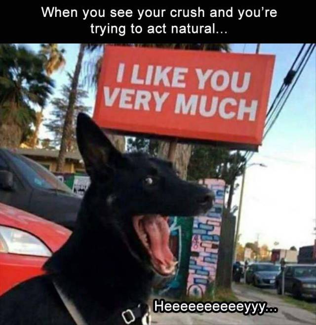 85370881