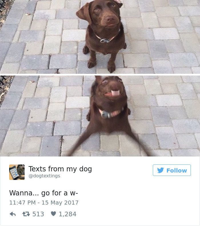 funny-texts-3