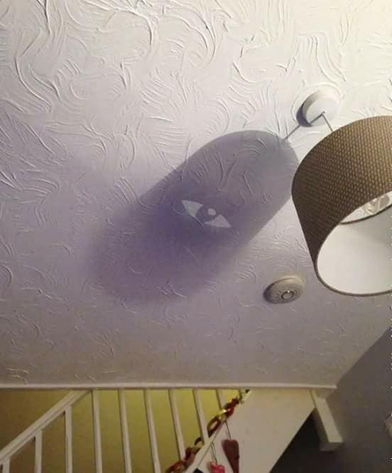 11-incredible-illusions-created-by-shadows
