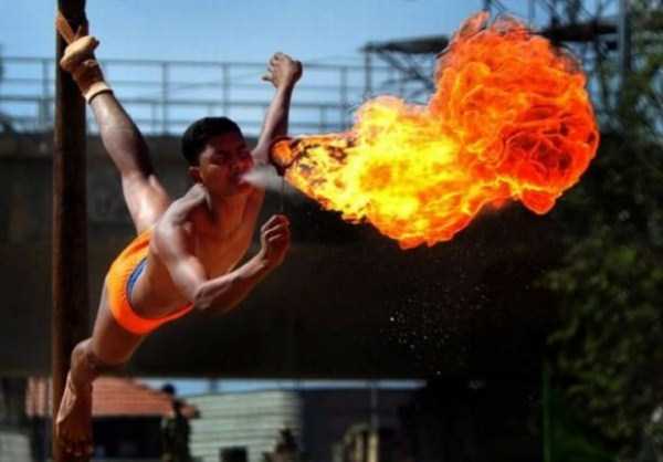 11-photos-captured-perfect-timing