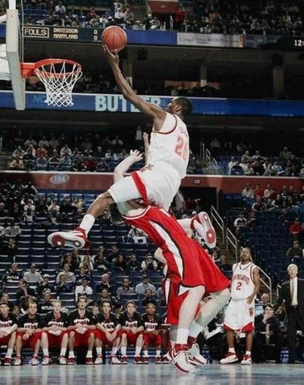 15-photos-captured-perfect-timing