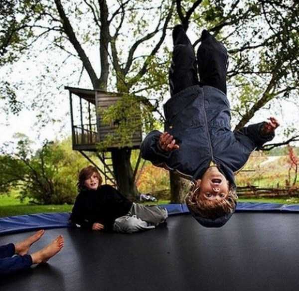 16-photos-captured-perfect-timing