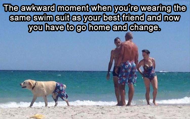 17-awesome-photos-for-a-great-week-start