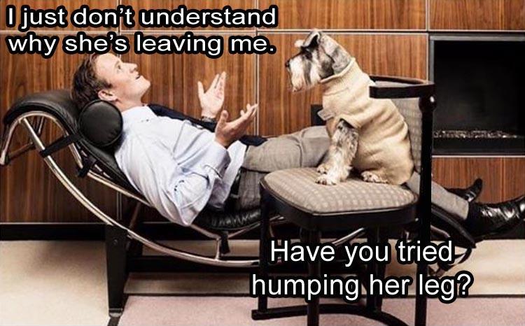 4-awesome-photos-for-a-great-week-start