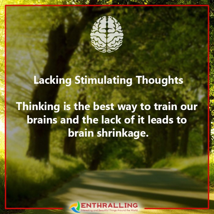 4-brain-damaging-habits