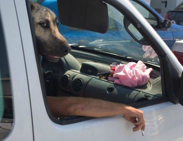 4-photos-captured-perfect-timing