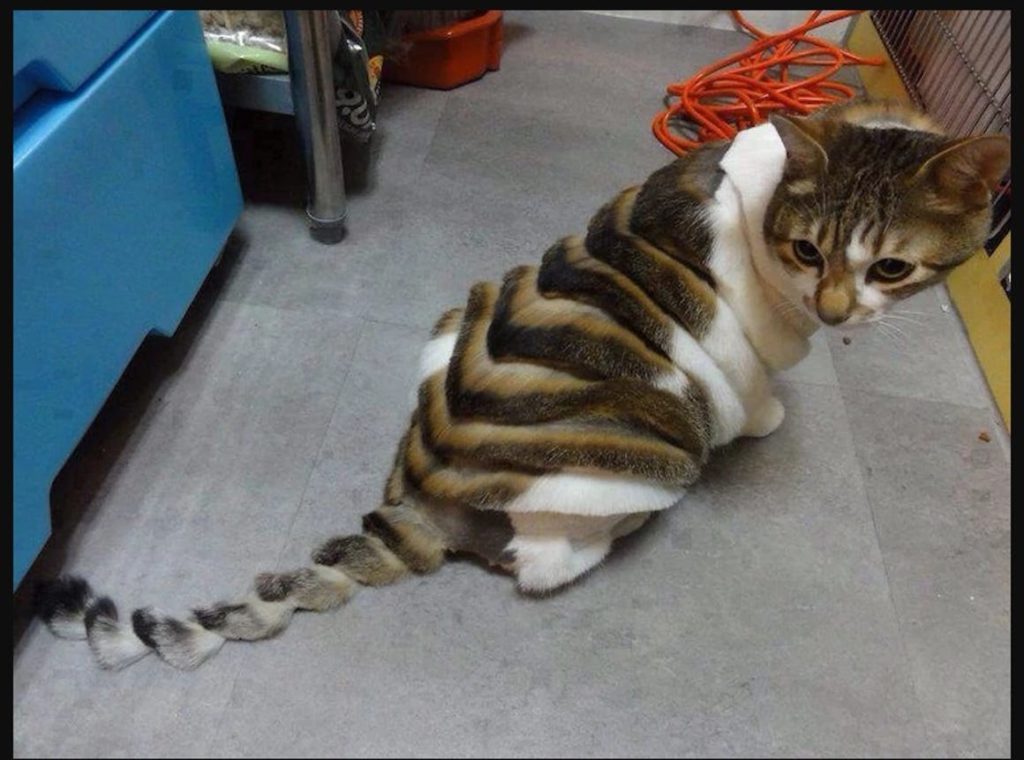 4-we-dare-you-to-explain-these-photos