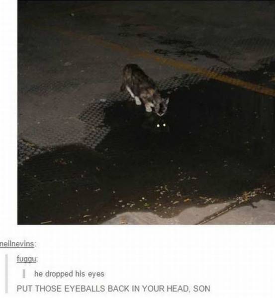 5-amazing-pics-chosen-to-entertain-you