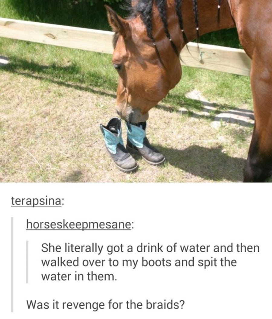 5-people-who-got-revenge-in-hilarious-ways