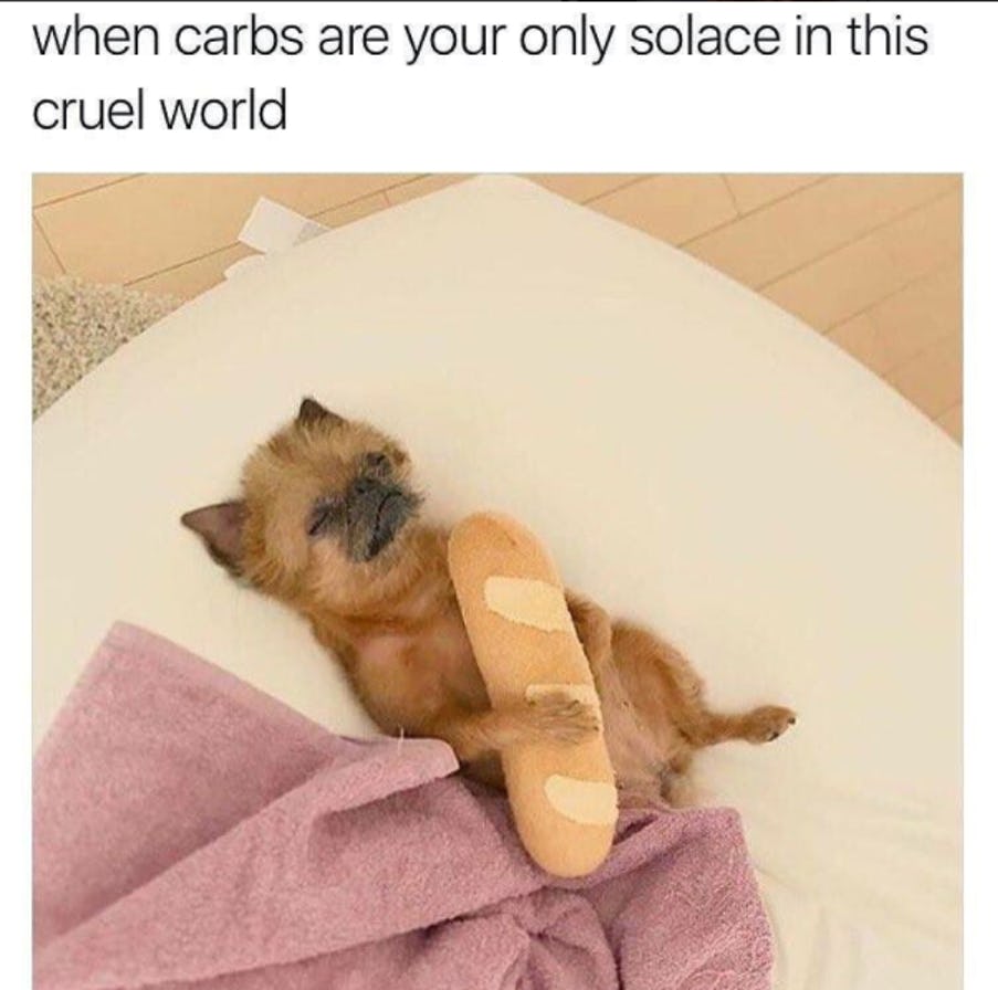 5-relatable-memes-make-you-feel-better