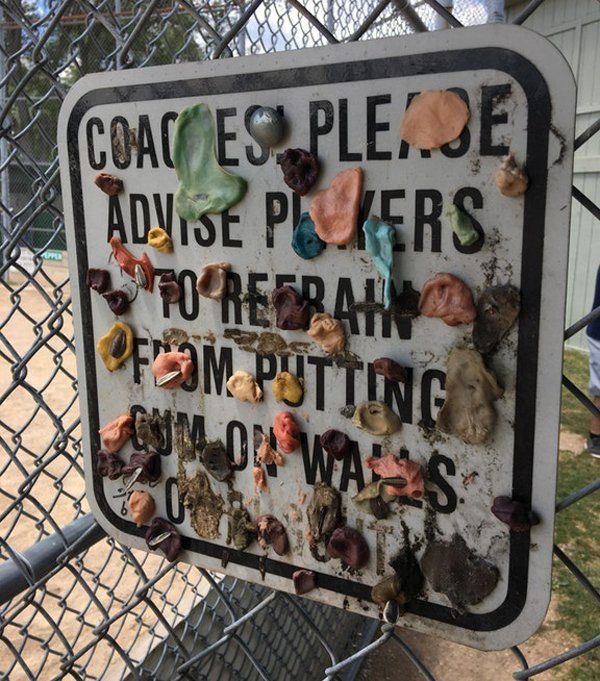 6-awesome-photos-for-a-great-week-start