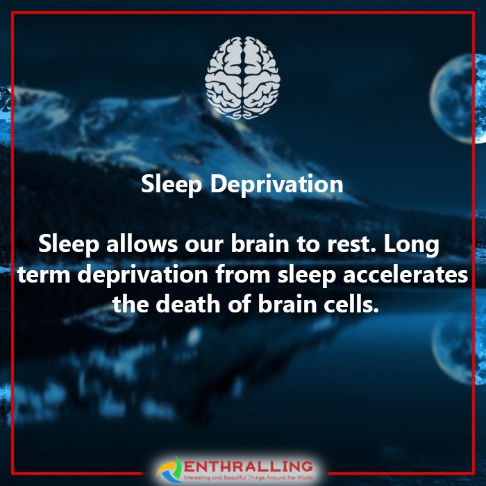 6-brain-damaging-habits