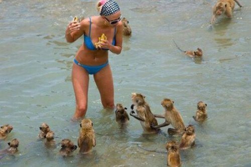 6-funniest-beach-moments-ever-summer