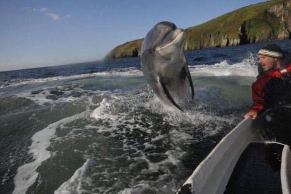6-photos-captured-perfect-timing