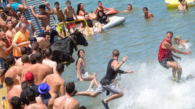 7-amazing-pics-chosen-to-entertain-you