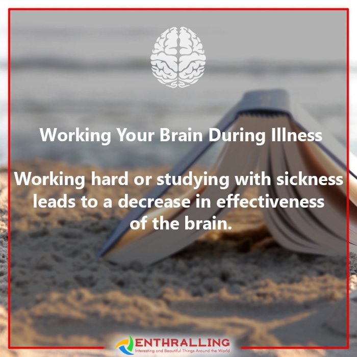 8-brain-damaging-habits