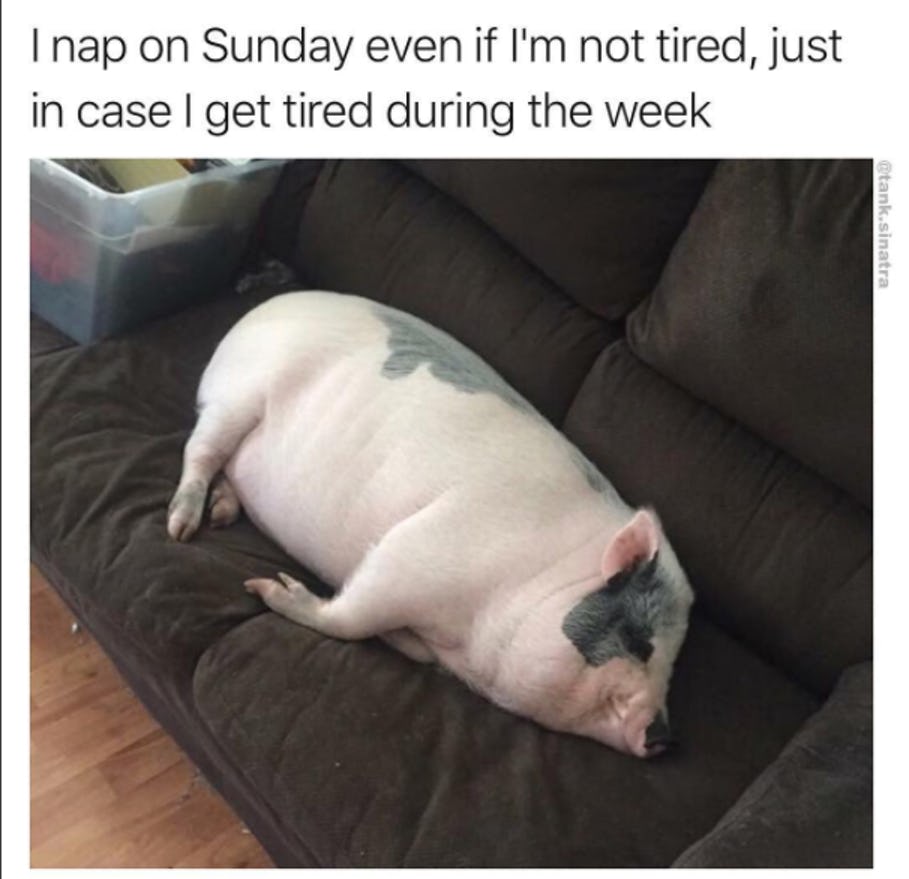 9-relatable-memes-make-you-feel-better
