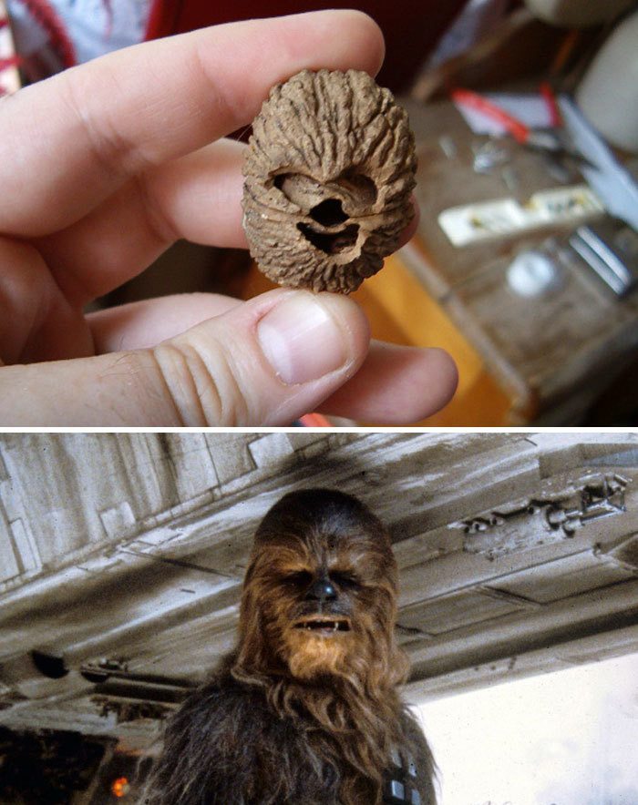 funny-objects-4