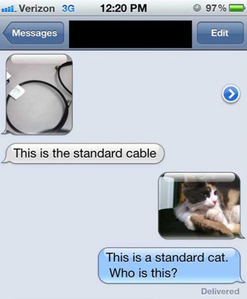 funny-pics-10