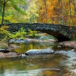 rock-creek-park-washington-dc
