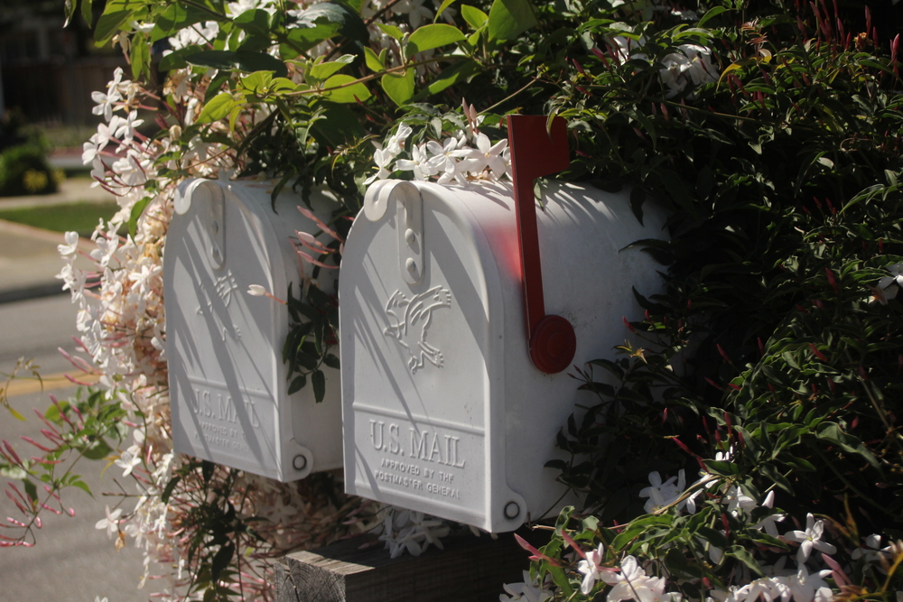Flowers around mailboxes.